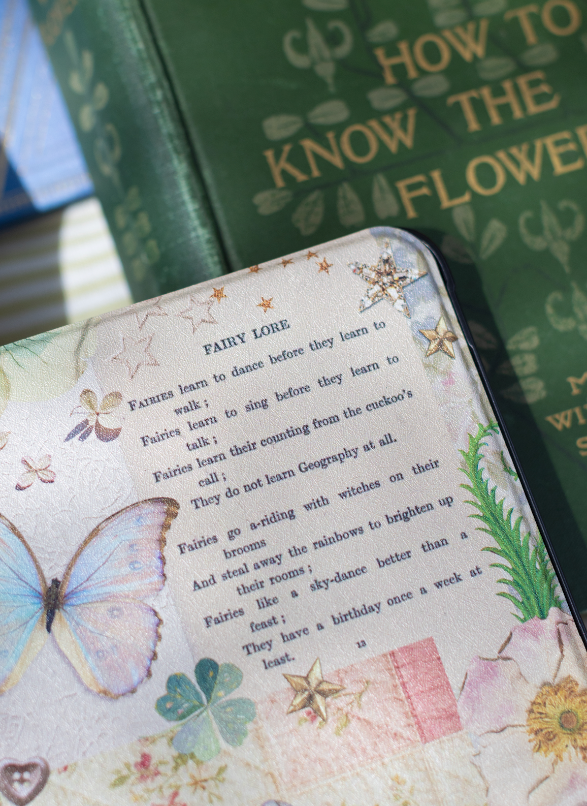 Faerie Patchwork Kindle Case