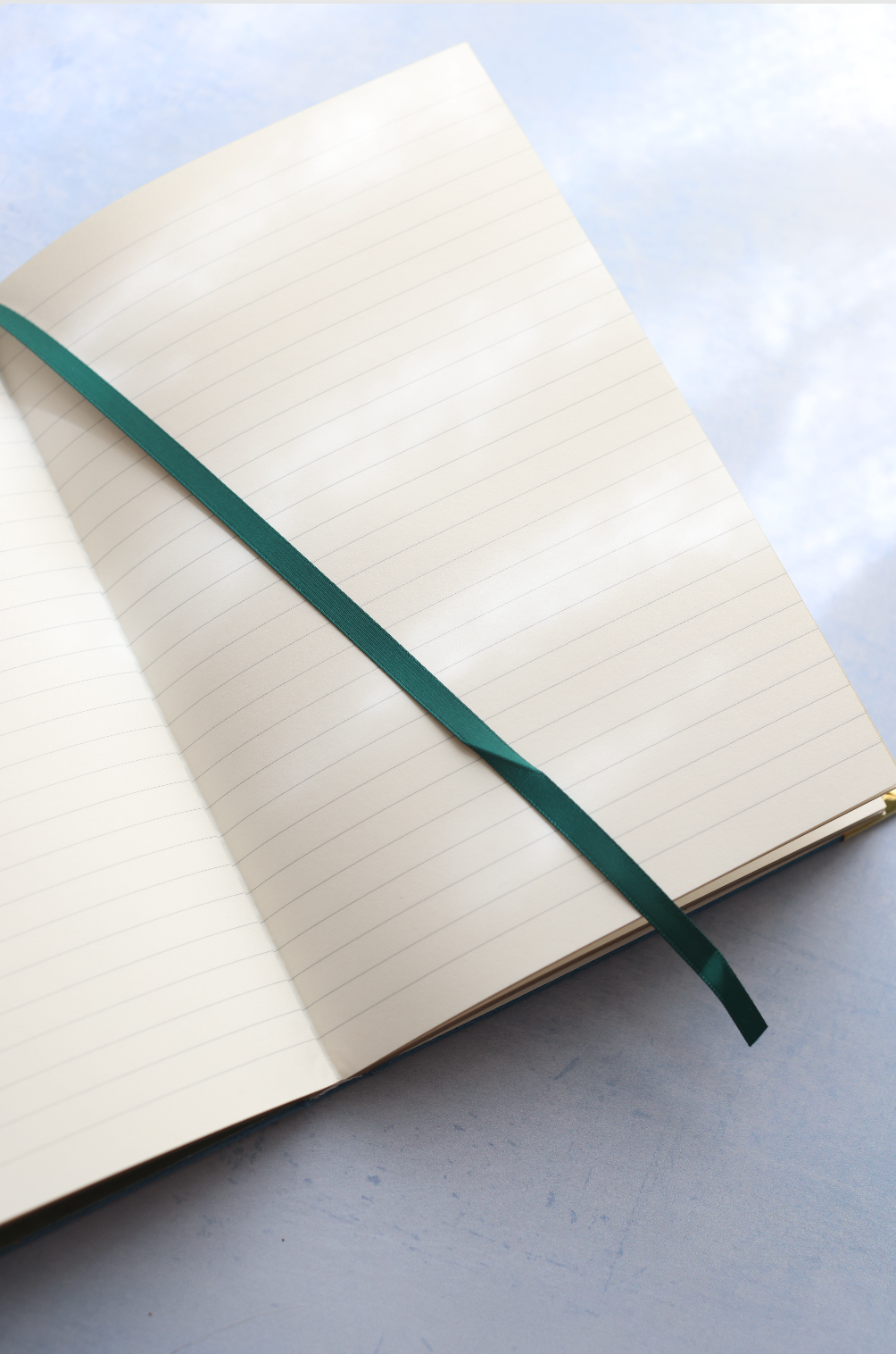 Backyard Fairy Gold Foil Vegan Leather Journal