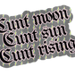 Rising Sign Sticker